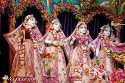 Daily Darshan