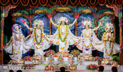 Daily Darshan