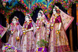 Daily Darshan