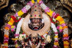 Daily Darshan