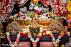 Daily Darshan