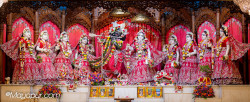 Daily Darshan