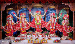 Daily Darshan
