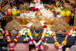 Daily Darshan