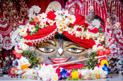 Daily Darshan