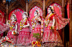 Daily Darshan