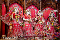 Daily Darshan