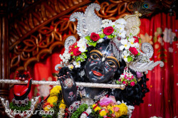 Daily Darshan