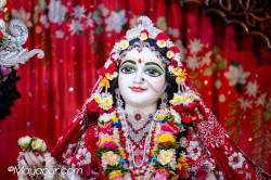 Daily Darshan