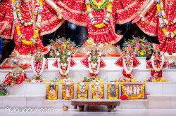 Daily Darshan