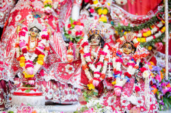 Daily Darshan