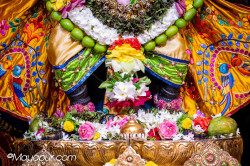 Daily Darshan