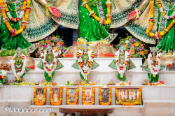 Daily Darshan
