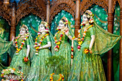 Daily Darshan
