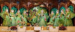Daily Darshan