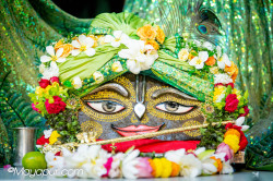 Daily Darshan