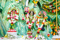 Daily Darshan