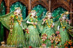 Daily Darshan