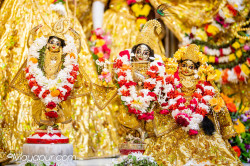 Daily Darshan