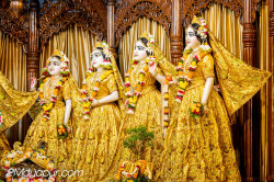 Daily Darshan
