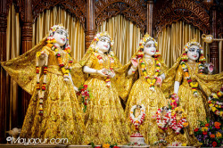Daily Darshan