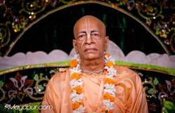 Daily Darshan
