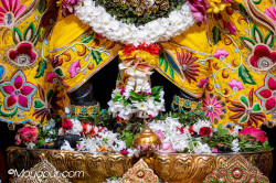 Daily Darshan