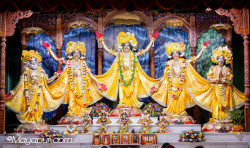 Daily Darshan
