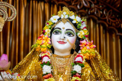 Daily Darshan