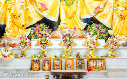 Daily Darshan