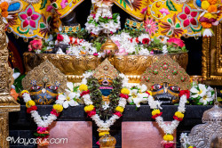 Daily Darshan