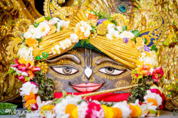 Daily Darshan