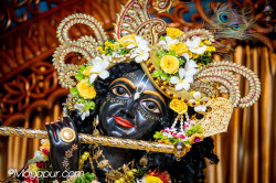 Daily Darshan