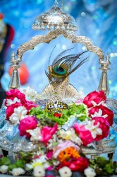 Daily Darshan