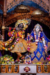 Daily Darshan