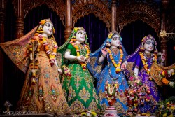 Daily Darshan