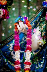 Daily Darshan