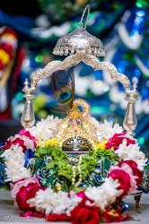 Daily Darshan