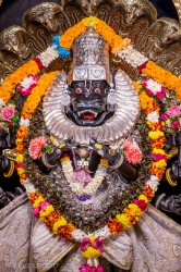 Daily Darshan