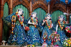 Daily Darshan