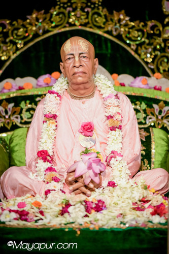 Daily Darshan
