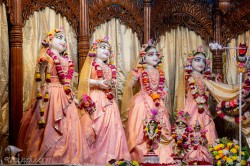 Daily Darshan