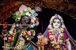 Daily Darshan