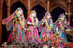 Daily Darshan