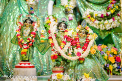 Daily Darshan