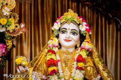 Daily Darshan