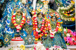 Daily Darshan