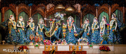 Daily Darshan