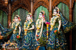 Daily Darshan