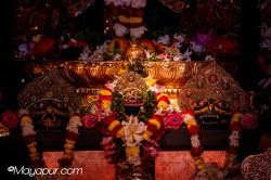 Daily Darshan